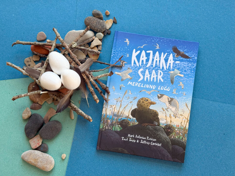 Raamat "Kajakasaar"