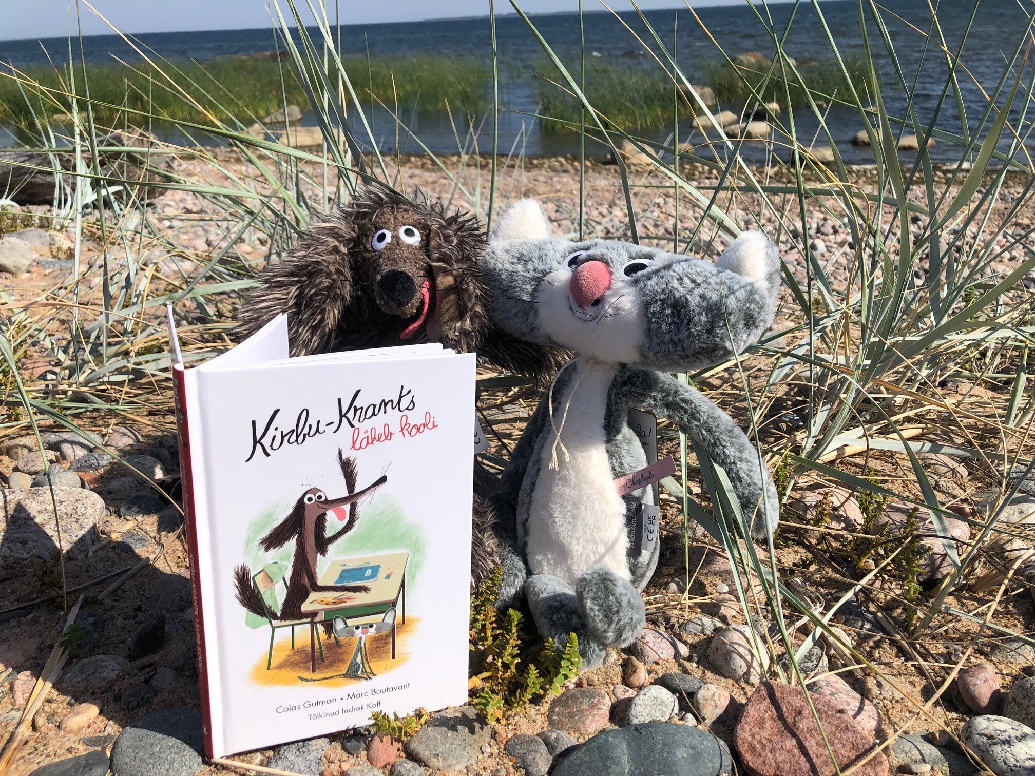 Raamat, Kirbu-krants, läheb kooli