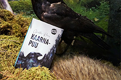 Näituse, Joostes huntidega, tööd Läti Rahvusraamatukogus